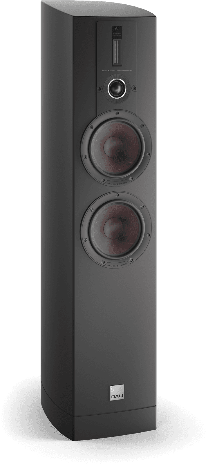 Dali Epicon 6