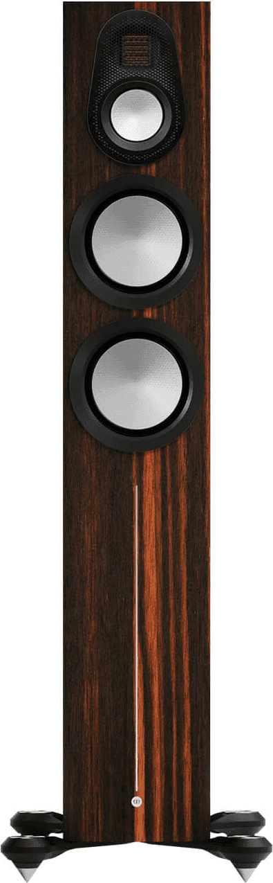 Monitor Audio Gold 300 front view