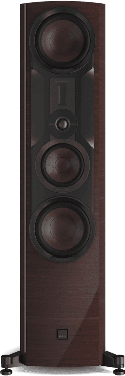 Dali Epikore 9 front view