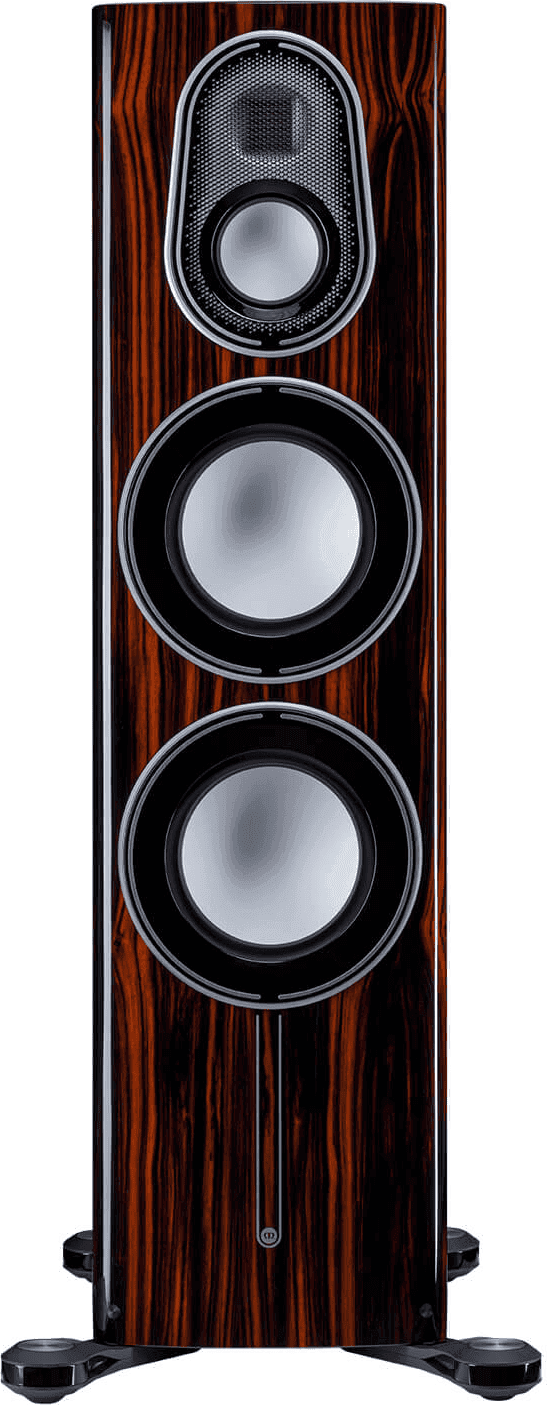 Monitor Audio Platinum 300 front view
