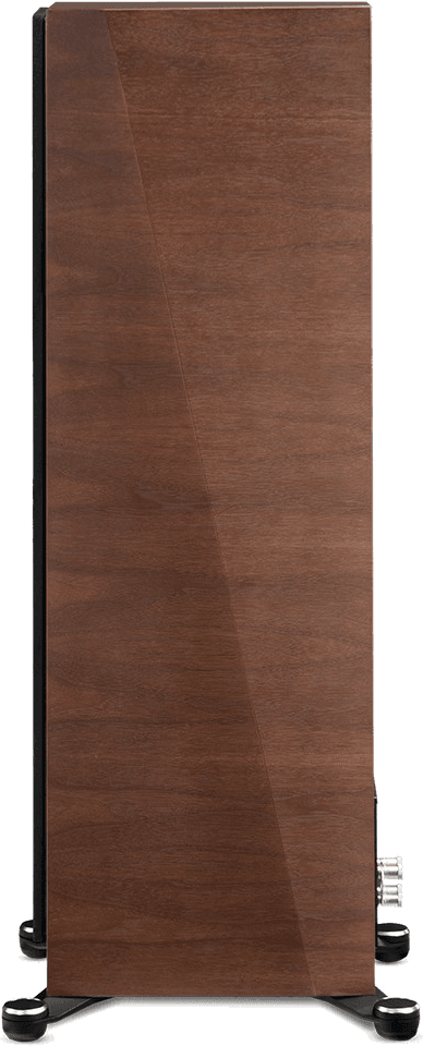 Paradigm Founder 100F — Side view