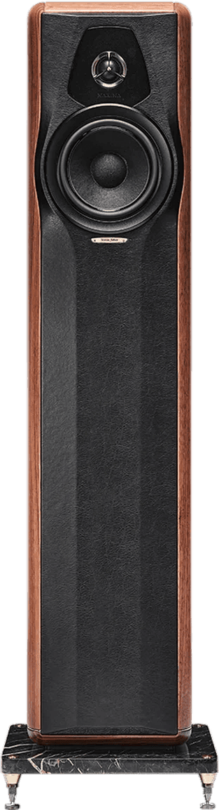 Sonus Faber Maxima Amator front view