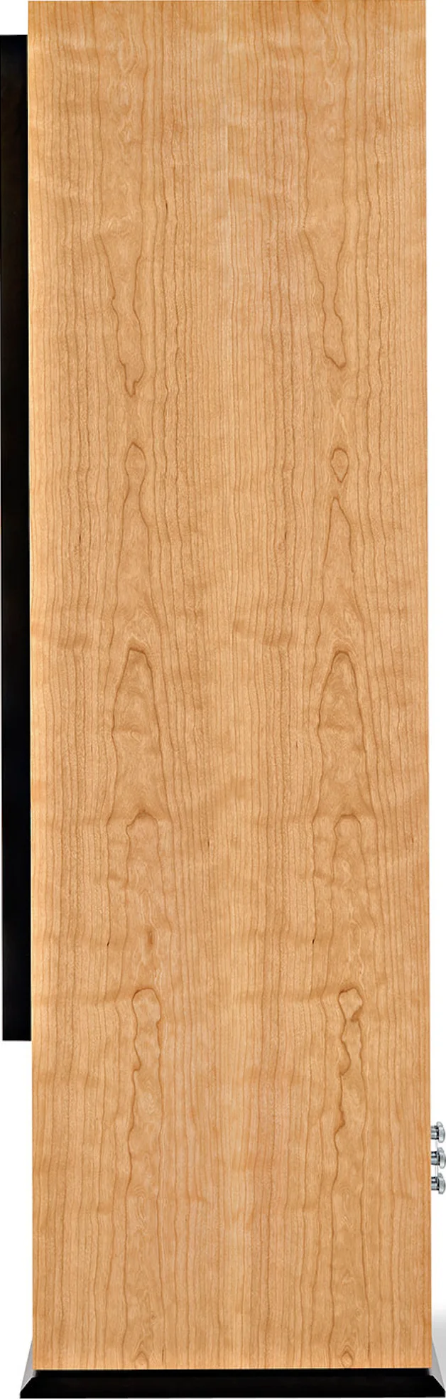 ATC SCM200PSLT β Side view