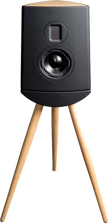 Lyngdorf Cue-100