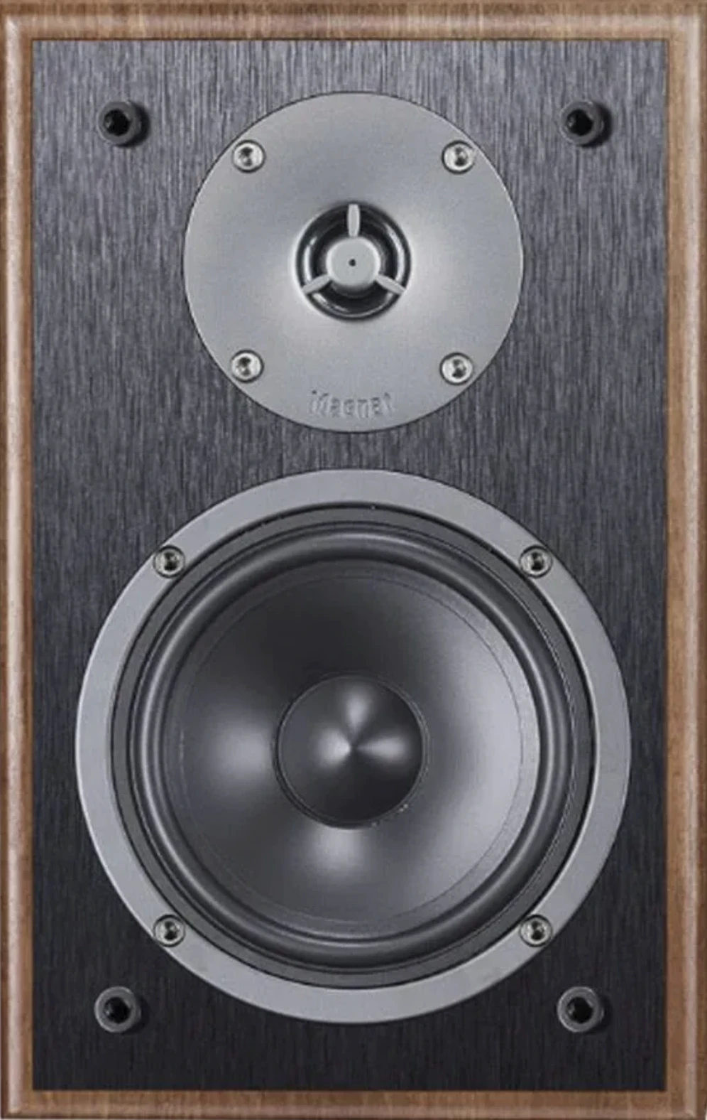 Magnat Monitor S10 B