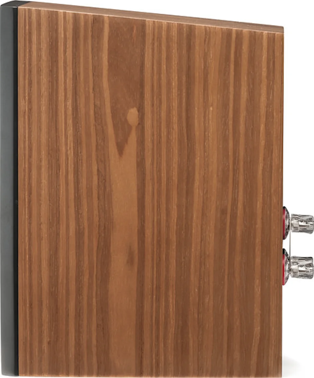 MartinLogan Motion XT B100 — Side view