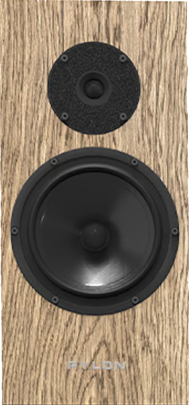 Pylon Diamond Monitor 18