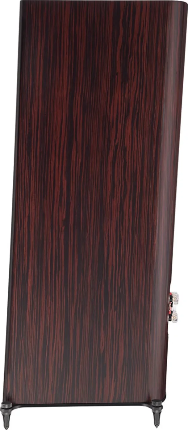 T+A Criterion S 240 — Side view
